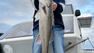 2025 11 9 短竿でお遊びフィッシング🎣