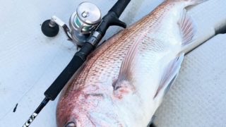 2026 0101 新年のご挨拶🎍