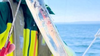 2025 12 28 サーべリング🎣