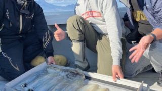 2025 11 30 ティップラン釣行💕