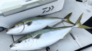 2025 12 20 ジギング、LJ、船長一人旅のぼっち釣行😢