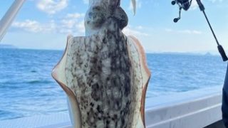 2025 12 27 ジギングにて青物狙い💦