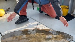 2025 12 30 バラエティー釣行♪