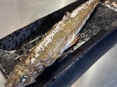 2026 3 22 チョイ釣り💦