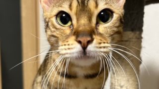 お知らせです💦